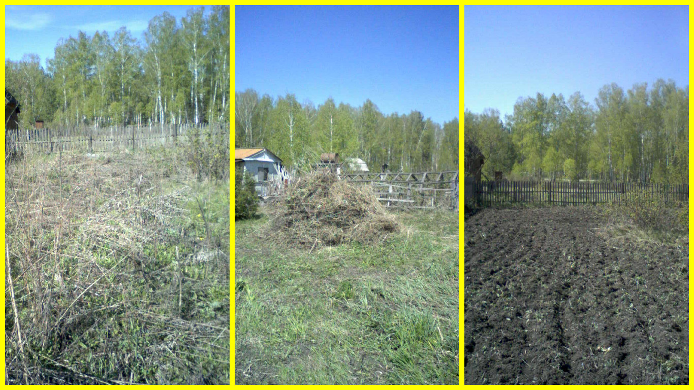 Расчистка земельного участка в городе Новосибирск, фото 1, Новосибирская область