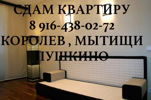 сдам сниму 1-2 ком. кв-ру г. Юбилейный, Мытищи, Королев, в городе Юбилейный, фото 2, Сниму квартиру