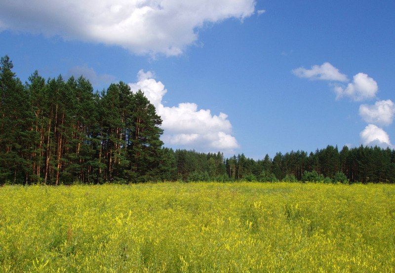 Продам в городе Кстово, фото 1, Нижегородская область