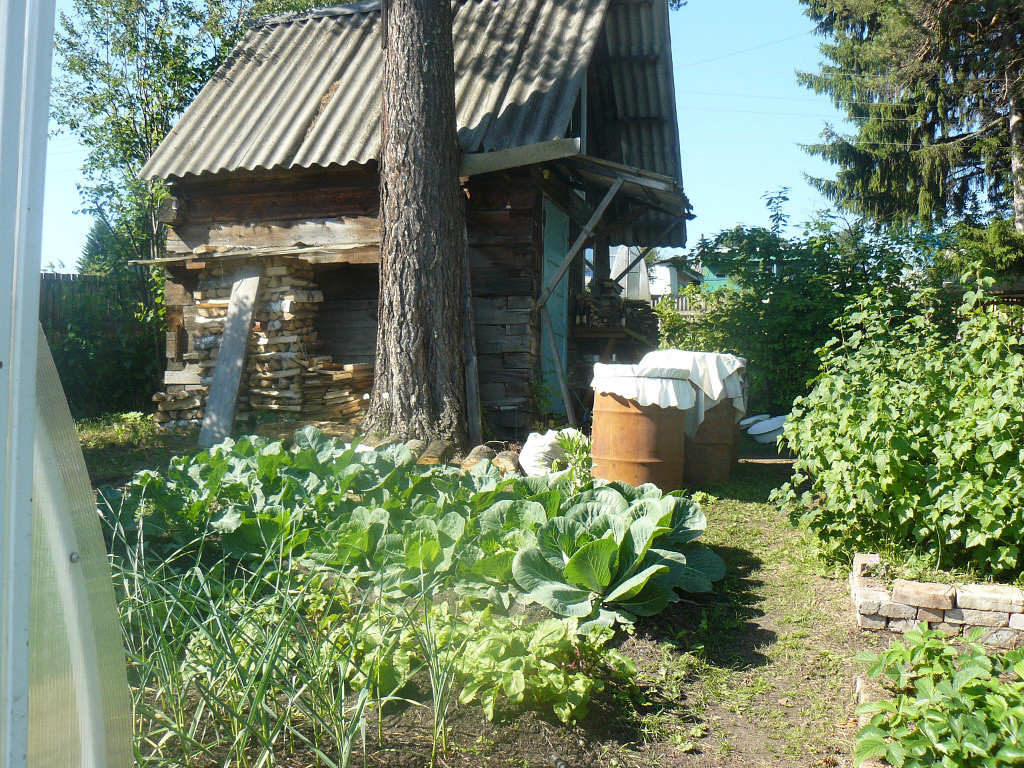 Купить Дачу Станция Сады