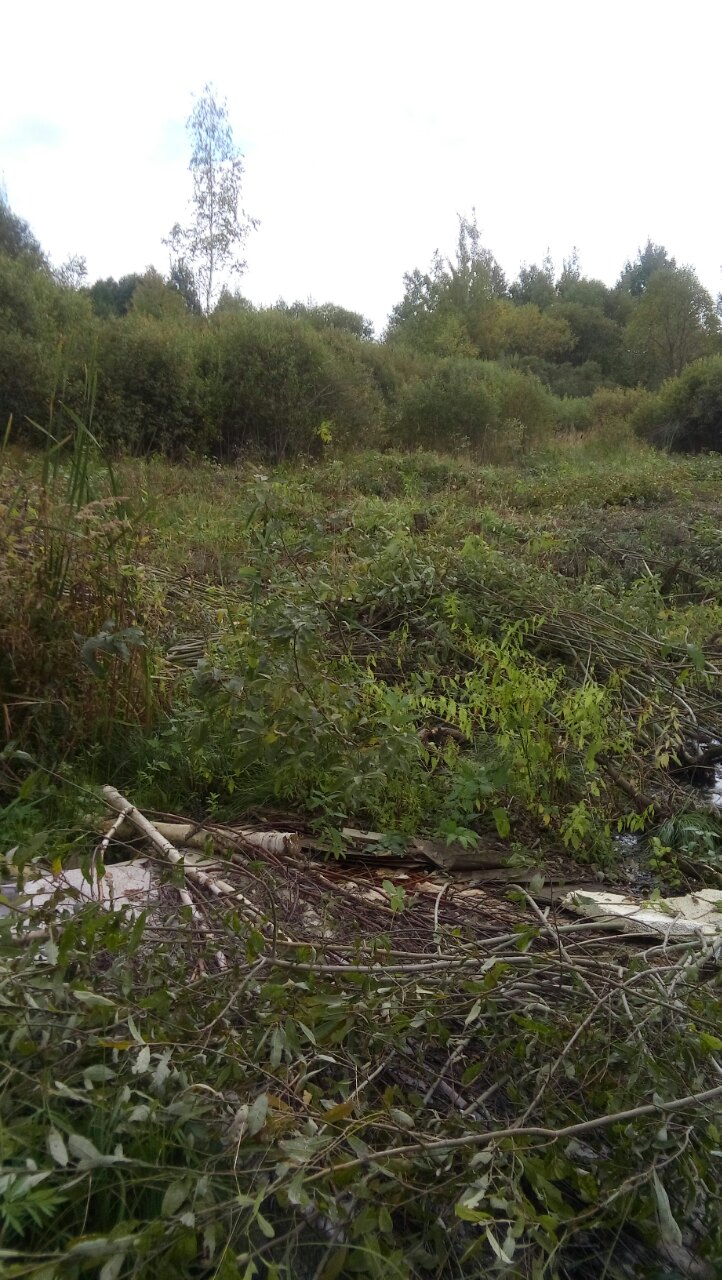 Продаю участок ижс в городе Орехово-Зуево, фото 1, Московская область