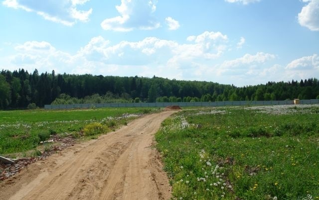 Продается земельный участок  в городе Пушкино, фото 3, стоимость: 1 600 000 руб.