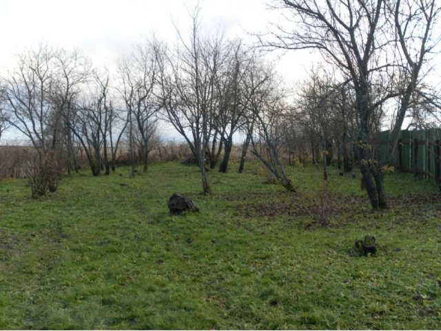 Продам дом в д. Лобаново Шаховского р-на в городе Волоколамск, фото 2, Продажа домов за городом