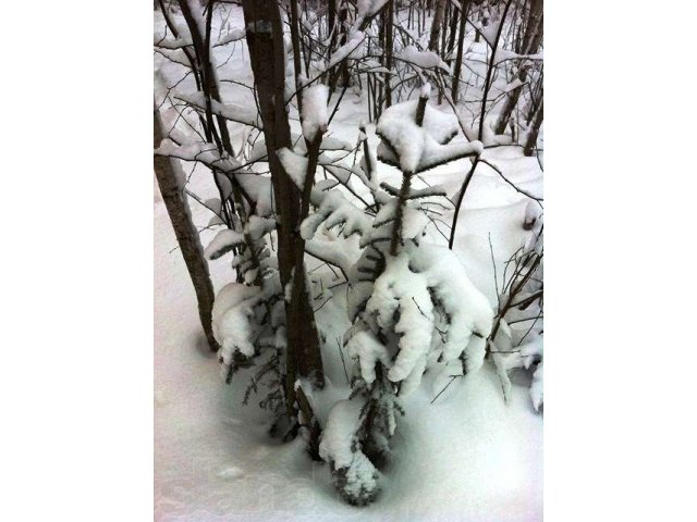 д. Кочина Гора. Дом 100м2 из бруса. в городе Жуковский, фото 3, стоимость: 2 600 000 руб.