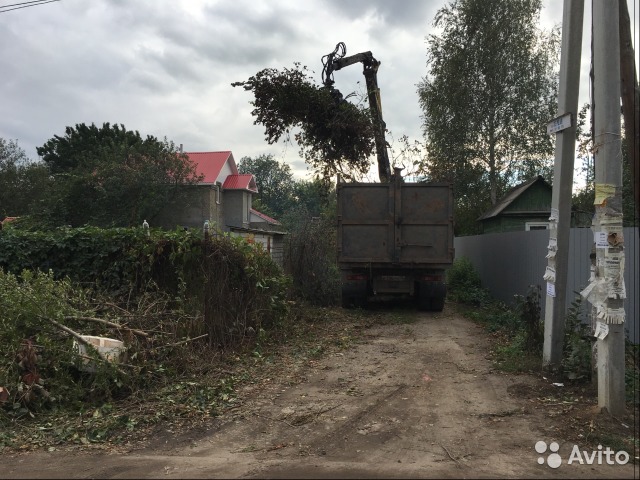 Спиливание деревьев. Любая сложность. Вывоз мусора в городе Старый Оскол, фото 3, Белгородская область