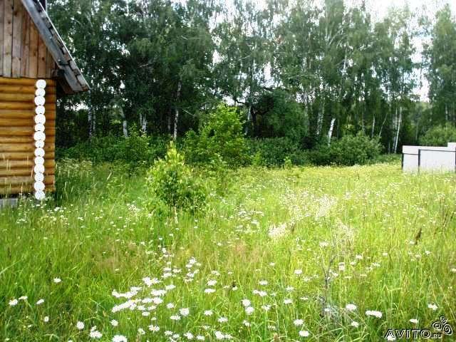 д. Бритово в городе Жуковский, фото 8, Московская область