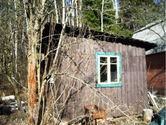 Юрово. СНТ. в городе Жуковский, фото 5, Московская область