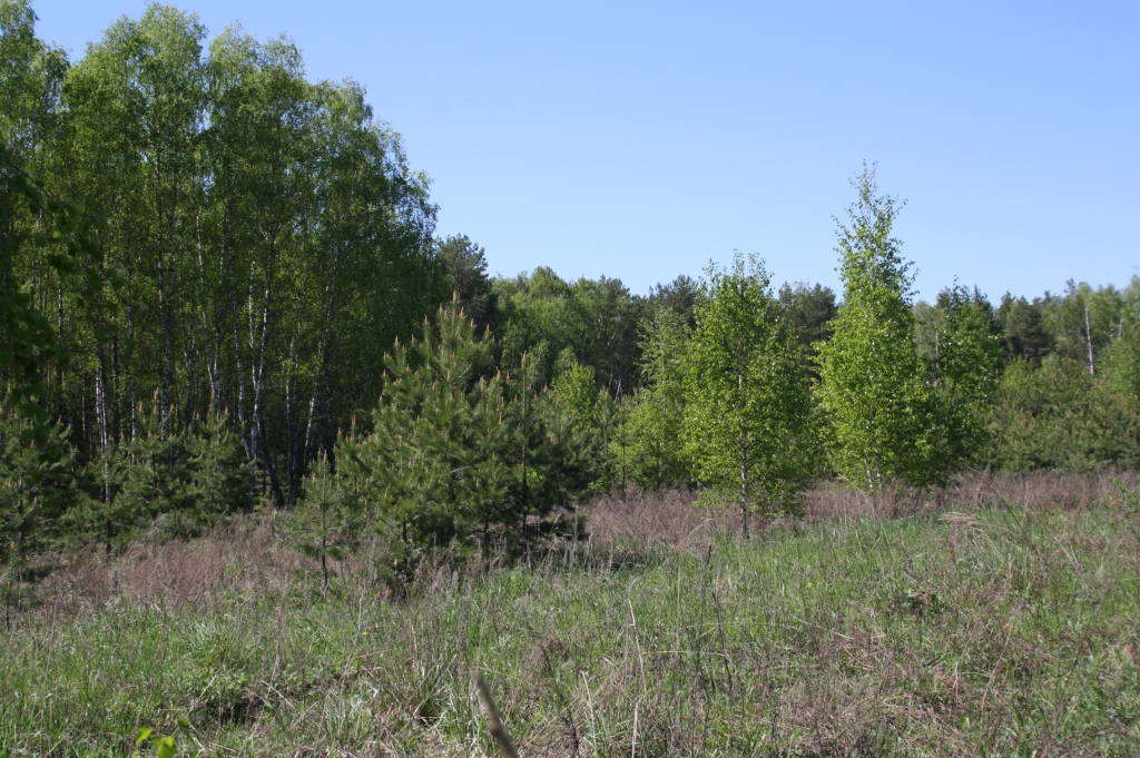 Продаются земельные участки  от собственника в д. Василево в городе Киржач, фото 1, Владимирская область