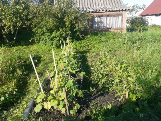 Продаю дом в дер. Ущевицы Волсовского района в городе Волосово, фото 4, Продажа домов за городом