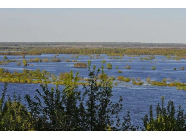 Дом в п. Елатьма Рязанской обл в городе Касимов, фото 2, Рязанская область