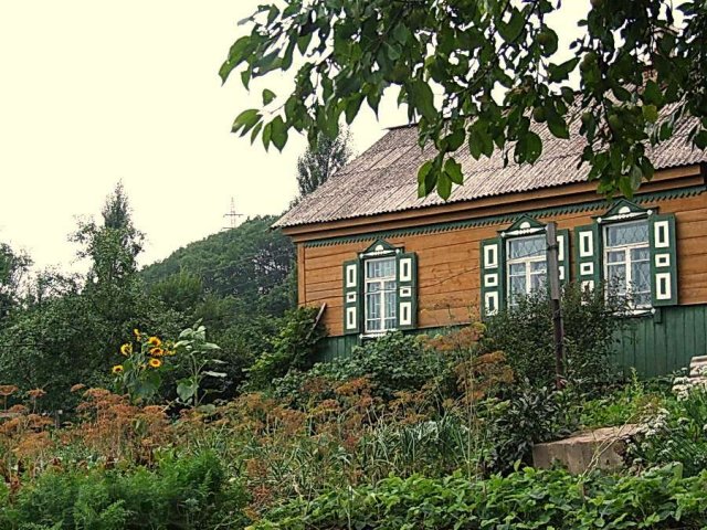 Продается деревянный дом в пос.Шкотово в городе Владивосток, фото 1, стоимость: 1 300 000 руб.