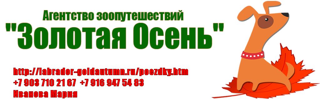  Поездки на выставки собак в городе Москва, фото 1, Московская область