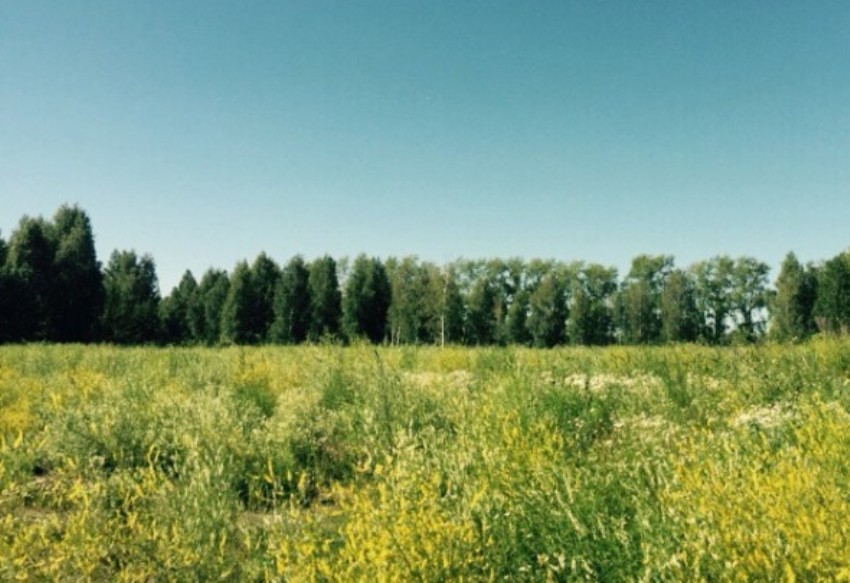 Продам 3 га пром.назначения, г.Тюмень за д.Утешево в городе Тюмень, фото 1, телефон продавца: +7 (908) 875-55-88