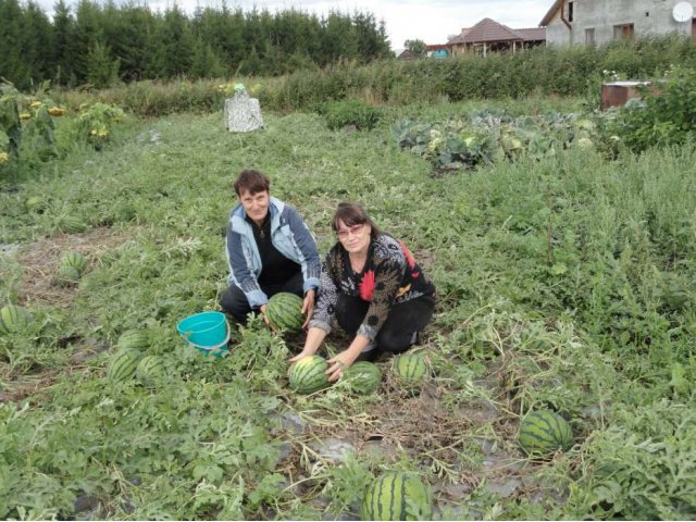 Дом в пригороде г. Горно-Алтайска в городе Горно-Алтайск, фото 2, Алтай