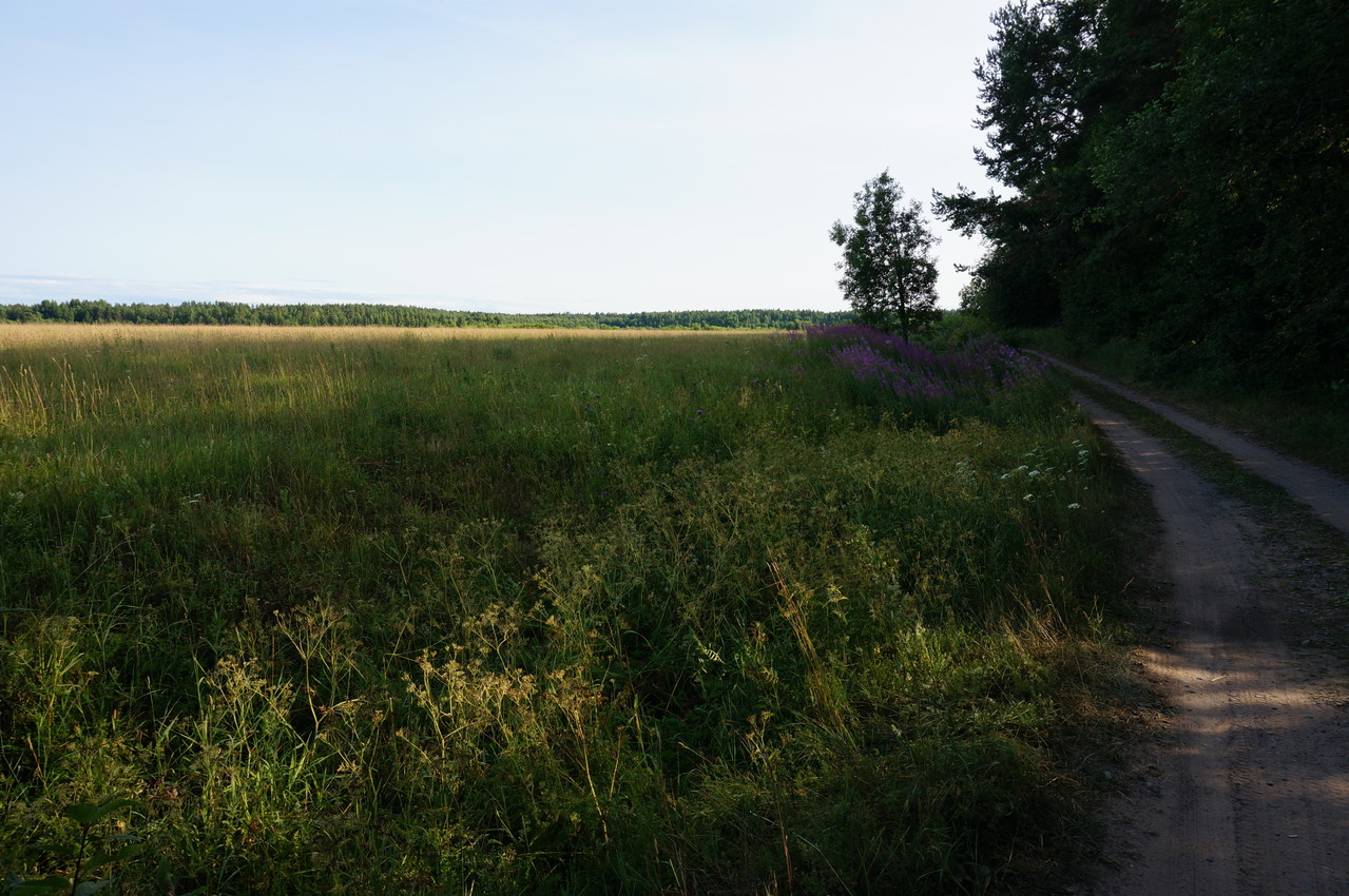 Продается земельный участок Тверская обл. Почурино 4,9 га в городе Зубцов, фото 3, Продажа земли сельхоз назначения