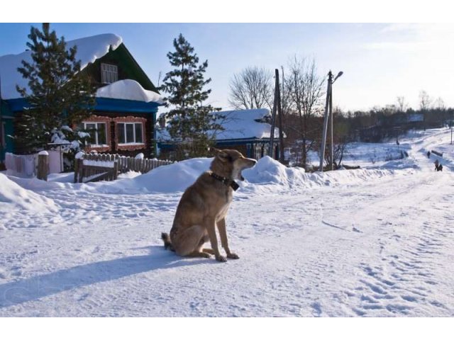 Продаю дом в городе Павловский Посад, фото 1, стоимость: 2 800 000 руб.