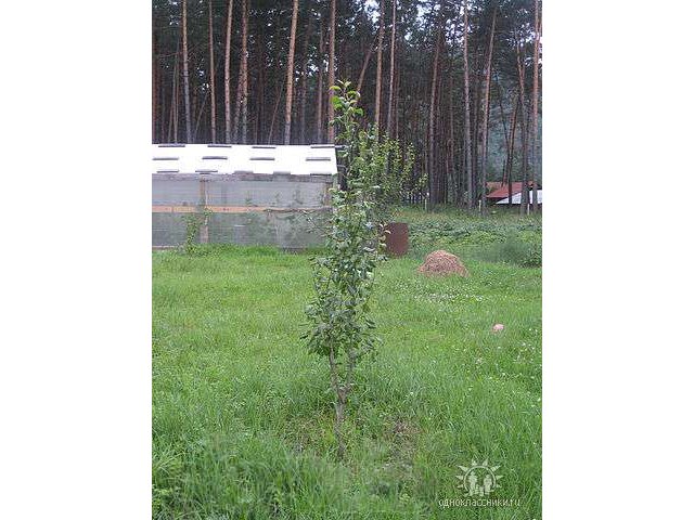 Продаю новый благоустроенный дом в Горном Алтае с большим участком в городе Барнаул, фото 3, стоимость: 3 550 000 руб.