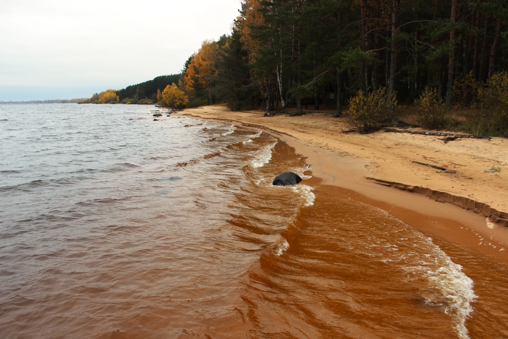 Продается база отдыха на Рыбинском водохранилище в городе Рыбинск, фото 4, стоимость: 14 900 000 руб.