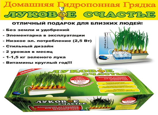 Установка Луковое Счастье домашний проращиватель выращиватель зелёного лука гидропонный в городе Москва, фото 1, Московская область