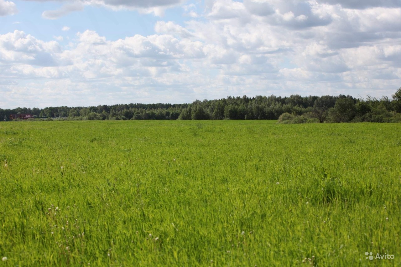 Продаю земельный участок 11 гектар в городе Кимры, фото 1, Тверская область