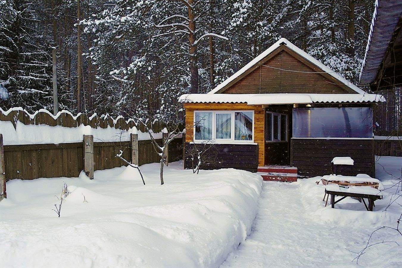 Сдаю дом в турбазе Чайка - Селигер, в сосновом бору, на берегу озера в городе Осташков, фото 1, стоимость: 2 500 руб.