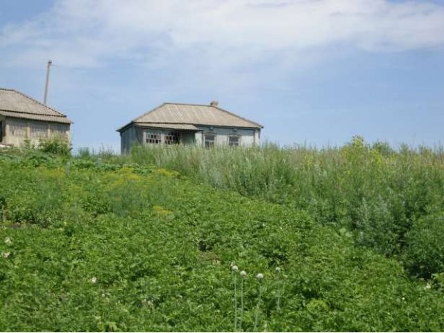 Сельский дом под Воронежем в городе Семилуки, фото 4, Продажа домов за городом