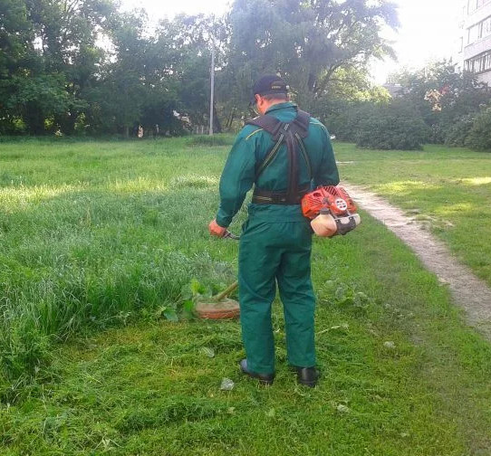 Покос травы Воронеж. Мы косим траву в Воронеже. в городе Воронеж, фото 2, Воронежская область