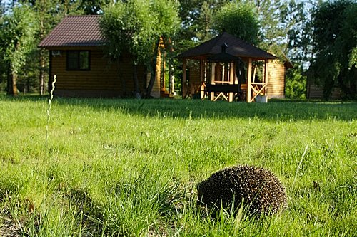 Сдаем Базу отдыха  в городе Волгоград, фото 5, Волгоградская область