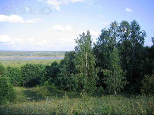 Земельный участок с домом в Касимовском р-не Рязанской обл. в городе Касимов, фото 2, Рязанская область