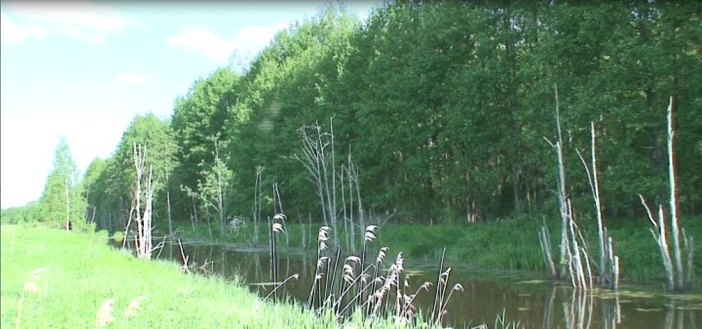 Земельный участок 74.4 га в Ивановской области в городе Родники, фото 1, стоимость: 3 720 000 руб.