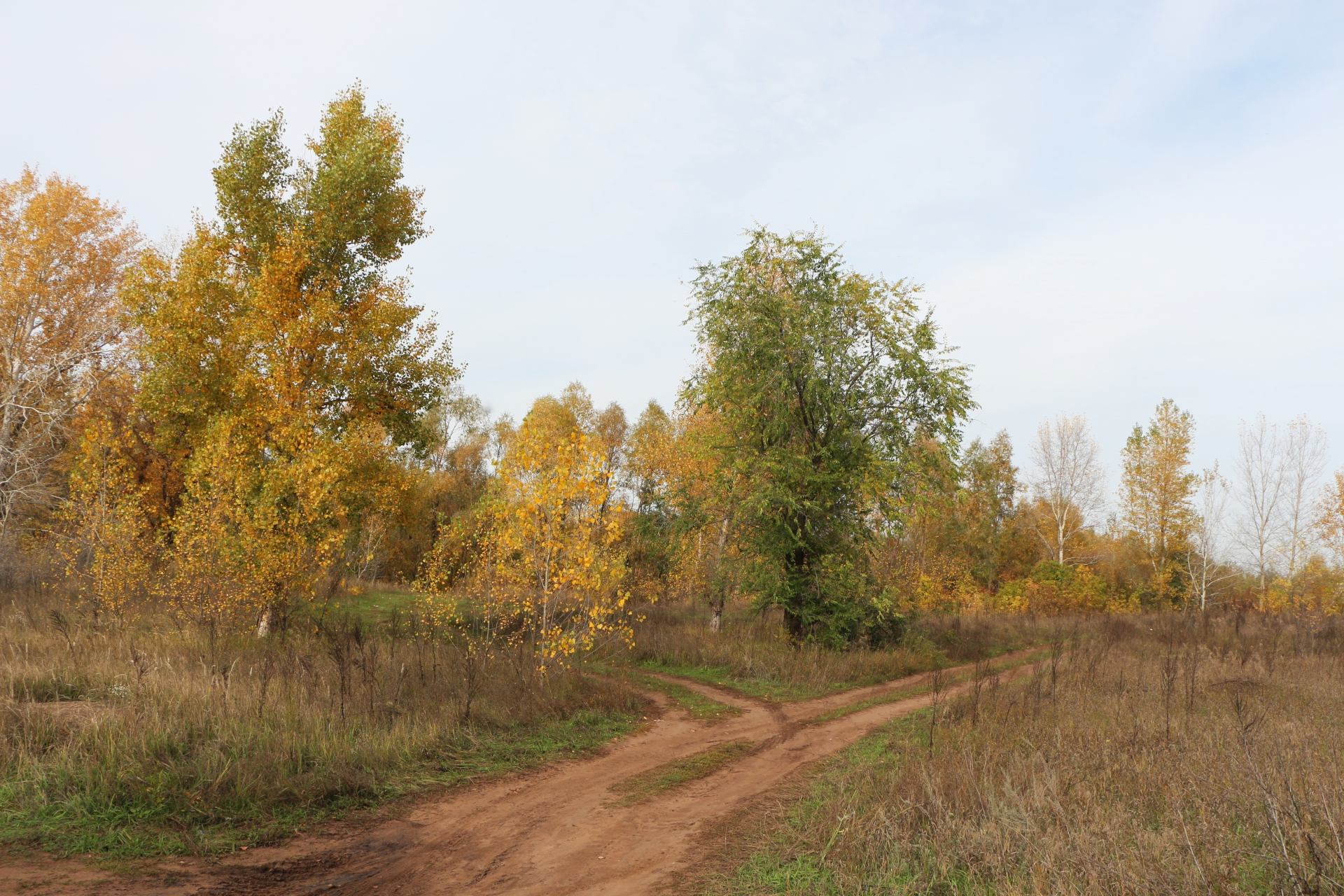 Участок в Бобровке (8км до Кинеля) в городе Кинель, фото 1, Самарская область