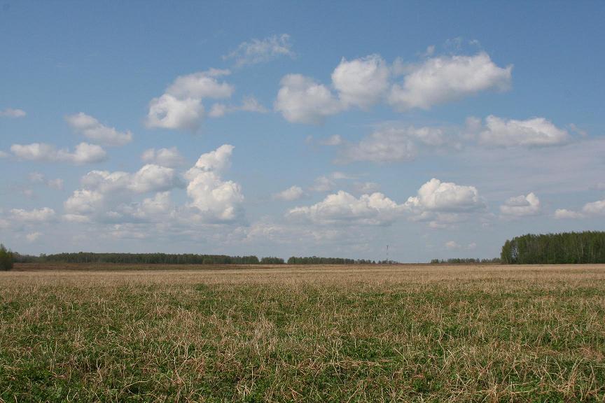 Продам земельный участок 5.0 гектар в Волжском районе, Самарской области в городе Самара, фото 3, стоимость: 2 300 000 руб.