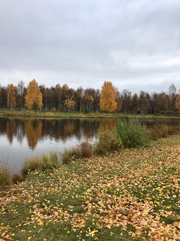 Продажа нового дома в г Пустошка с земельным участком в городе Пустошка, фото 5, телефон продавца: +7 (901) 302-11-73