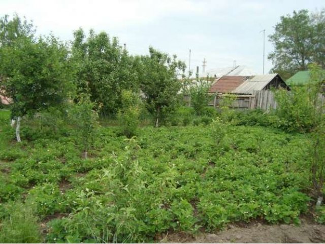 Продам дом у леса и реки в с.Н-Казачье в городе Задонск, фото 8, Липецкая область