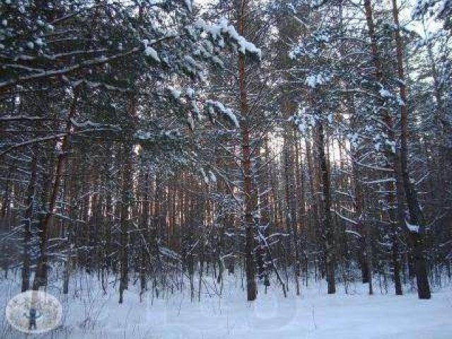 Дом у леса в с. В.Казачье в городе Задонск, фото 2, стоимость: 650 000 руб.