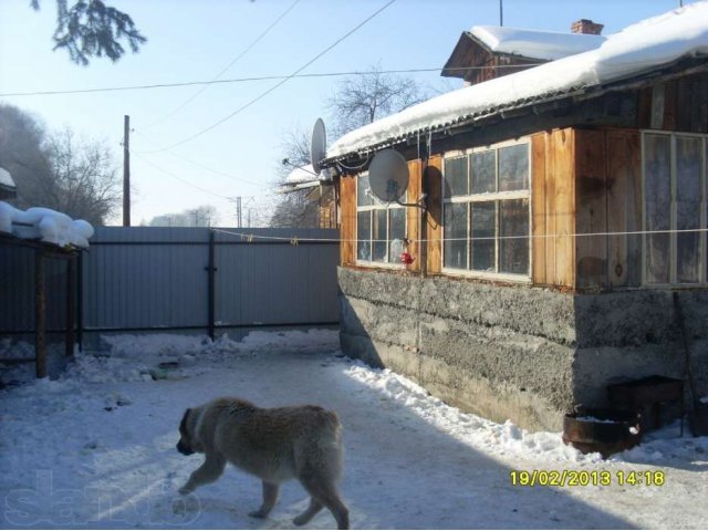 Продам дом 50 кв. м в городе Камышлов, фото 8, Свердловская область