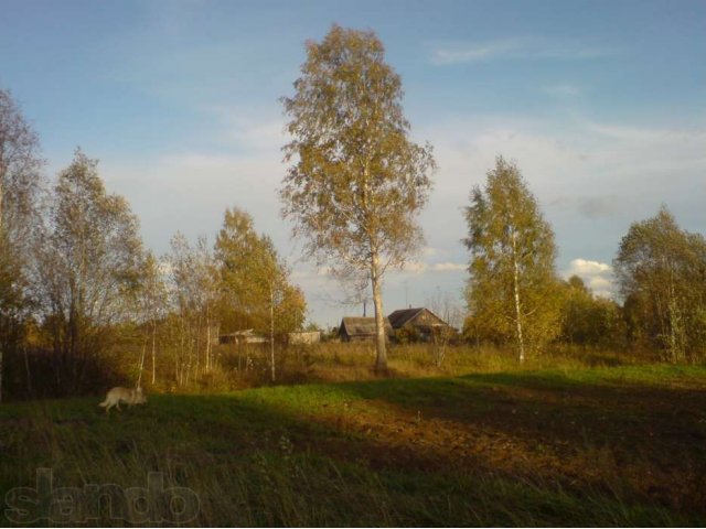 Дом ПМЖ в Тверской обл., Оленинский р-н в городе Тверь, фото 5, Продажа домов за городом