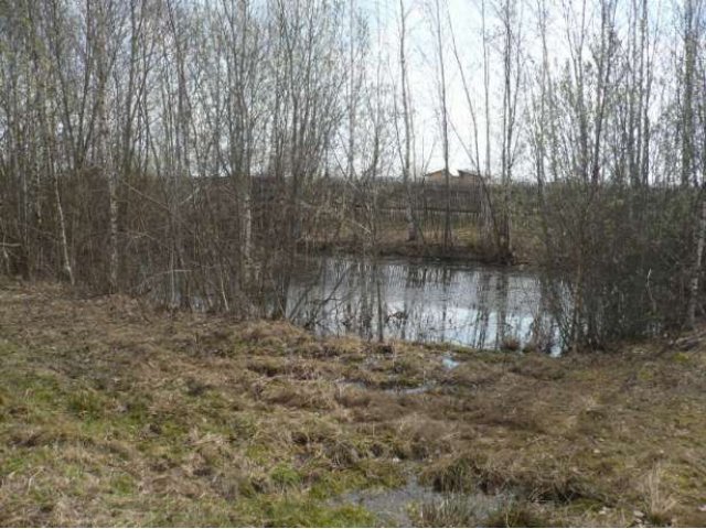 Продам жилой дом в . Воютино Шаховскогот района М.О. в городе Волоколамск, фото 6, Продажа домов за городом