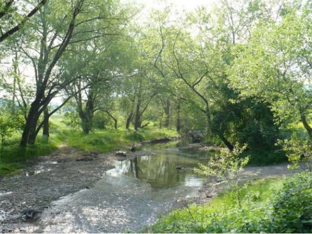 ИД 5550. Новый дом среди вечнозеленой реликтовой флоры (Анапа) в городе Анапа, фото 2, стоимость: 15 000 000 руб.