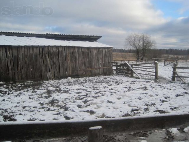 Продам дом в Спировском районе д. Карабиха в городе Тверь, фото 7, Продажа домов за городом