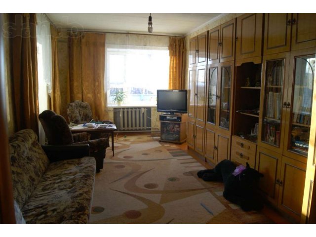 Недорого 3-х комнатный дом в Березовке в городе Благовещенск, фото 2, Амурская область