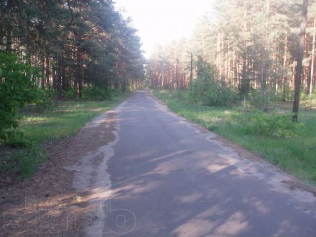 Продается дача на 6 сотках в городе Покров, фото 8, Владимирская область