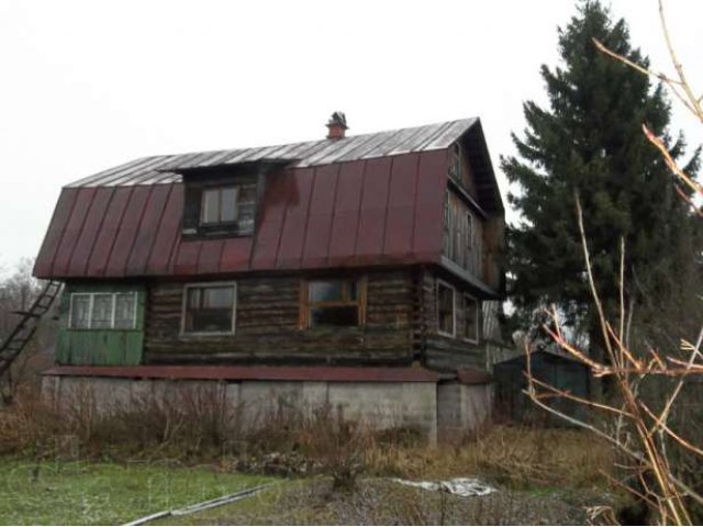 Всеволожский р-он, Борисова Грива в городе Санкт-Петербург, фото 2, Ленинградская область