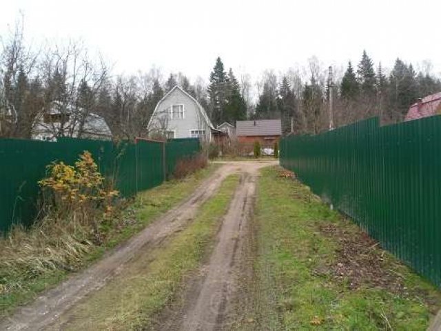 Продается участок 6 соток в с/т Теряево в городе Руза, фото 2, Дачи