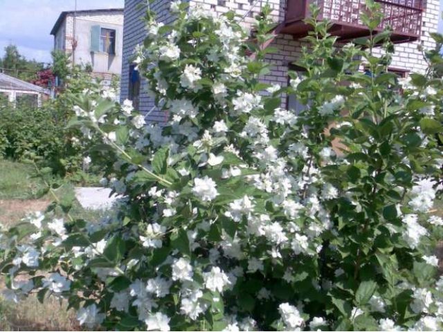 Продам дачу в городе Волгоград, фото 2, Волгоградская область