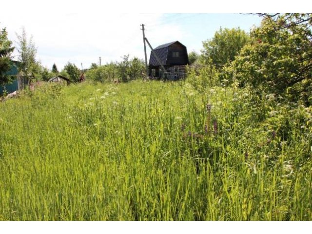 Дача у большой воды в городе Дубна, фото 6, стоимость: 350 000 руб.