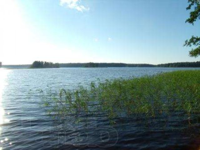 Бойцово. Дача на берегу озера Вуокса. в городе Санкт-Петербург, фото 5, Ленинградская область