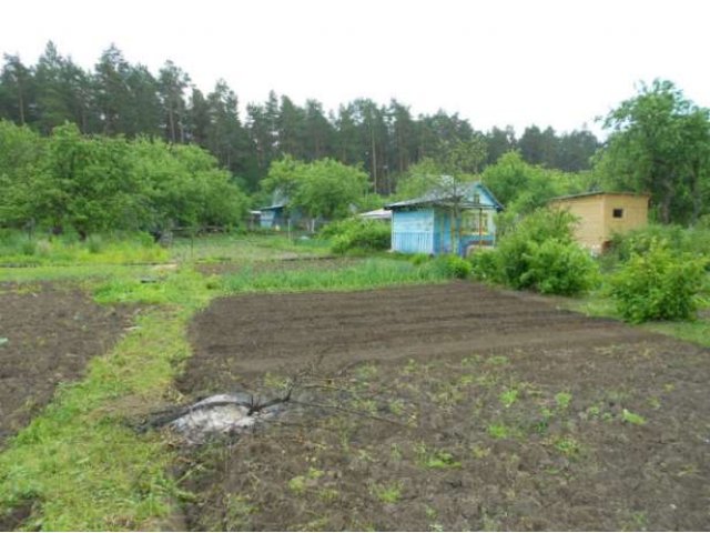 Дача по границе газ в городе Жуков, фото 2, Калужская область