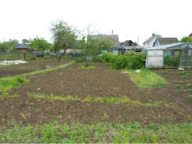 Дача по границе газ в городе Жуков, фото 4, Дачи