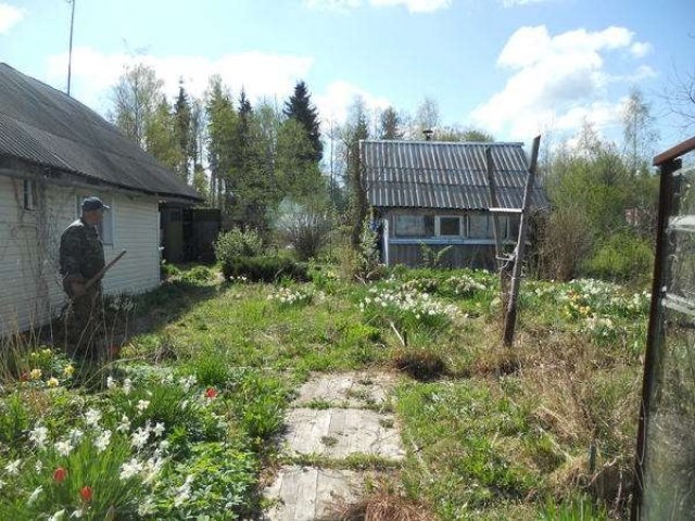 Садовый дом н,учхоз в городе Гатчина, фото 1, Дачи